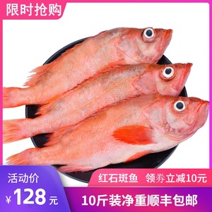 红石斑鱼10斤海捕红鱼大眼鱼海鲜水产鲜活海鱼深海捕捞