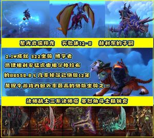 魔兽世界账号战士绝版祖格虎星光龙329坐骑2.1W成就精锐套战士