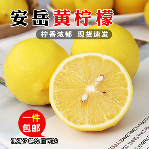 四川安岳黄柠檬尤力克茶饮店专用新鲜一级孕妇大水果皮薄汁多包邮