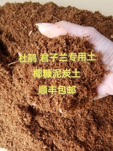 包邮营养土杜鹃茶花瑞香沙性红土 椰糠泥炭土专用土和通用奥绿肥