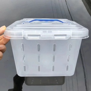 白色透明简易PP塑料收纳盒杨梅篮筐航空箱水果东魁包装鸡蛋土特产