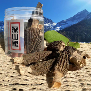 西藏羊肚菌干货50克 云南野生姬松茸牛肚菌菇汤料包煲汤 非新鲜菇