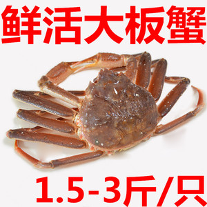 青岛蟹哥海鲜 野生鲜活鳕蟹 新鲜大板蟹 长脚蟹大螃蟹 海蟹 500g