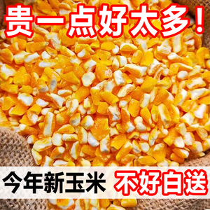 2023东北农家玉米渣粘黏大碴子玉米粒糁茬粥五谷杂粮玉米碎棒子
