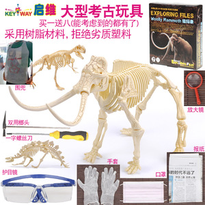 霸王恐龙化石骨架考古挖掘玩具 幼儿园儿童手工diy制作材料包模型