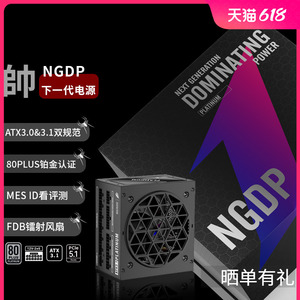 首席玩家NGDP铂金1000W全模组ATX3.0&3.1台式机电脑电源电竞4090