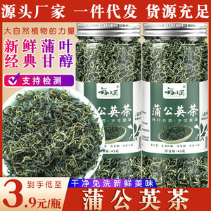 蒲公英茶叶泡水干蒲公英花草茶婆婆丁谷谷丁古古茶搭菊花金银花