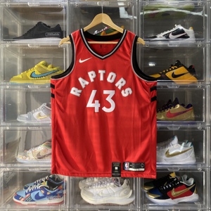 【堂堂】Nike NBA 多伦多猛龙 西亚卡姆SW球迷版球衣 904143-657