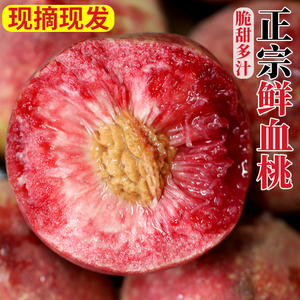 新鲜水果现摘现发桃子5斤红心血桃当季毛桃整箱脆桃孕妇水蜜桃子