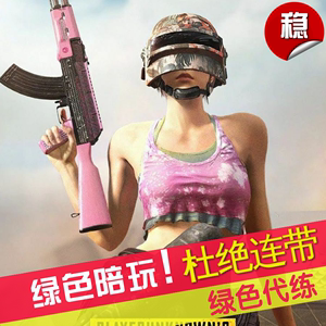 PUBG绝地求生大神陪玩竞技上分导盲保镖代练上大师500强专业车队