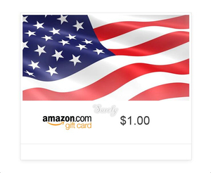 美国亚马逊 US Amazon Gift Card 美亚礼品卡$1美金定制任意金额