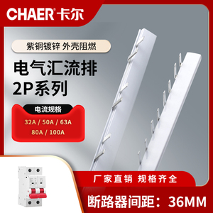 CHAER卡尔 2P断路器32/63/100A紫铜镀锌36mm汇流排二相C45接线条