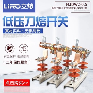 户外复合低压隔离式刀熔断器开关刀闸HJDW2-0.5/630-800A-1250A