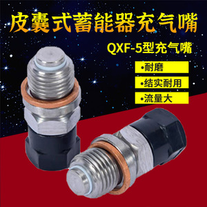 液压元件 NXQ/QXF囊式蓄能器专用充气阀充气嘴 蓄能器单向阀