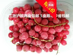 新鲜新款中国大陆冷冻有枝红加仑鲜梅果蛋糕烘培西点装饰2邮