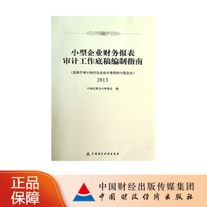 小型企业财务报表审计工作底稿编制指南（上册） 中国注册会计师协会