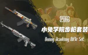 PUBG绝地求生小兔学院武器套装步枪ACE32+SKS吃鸡CDK端游兑换码