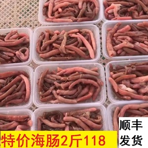 海肠鲜活沙虫冷冻海肠皮海鲜水产海肠捞饭200g*5新鲜海肠子