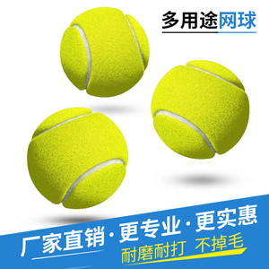 正品网球初学者高弹性耐打训练网球耐磨初中级比赛专用按摩宠物球