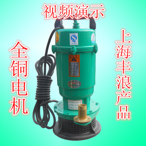 上海丰浪750W抽水泵/抽水机/深井潜水泵正宗铜线,品质保证