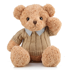 网红泰迪小熊花束熊熊毛绒玩具毛衣卫衣熊公仔娃娃生日情人节礼物