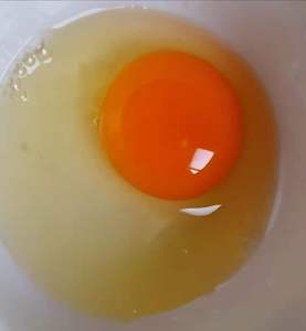 正宗土鸡蛋双圈营养农家散养草鸡蛋初生蛋孕妇月子蛋鲜鸡蛋30枚