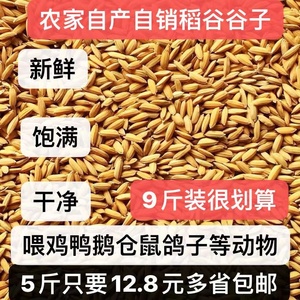 农家自产稻谷水稻谷子喂鸡鸭鹅鸽子鸟仓鼠等宠物饲料带壳多省包邮