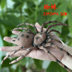 大号塑胶蜘蛛玩具昆虫模型仿真动物儿童教学标本男孩玩偶软橡胶