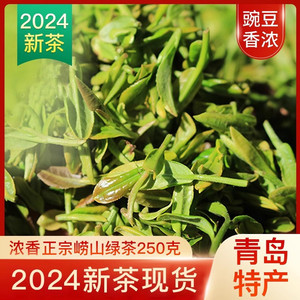 崂茗崂山绿茶2024新茶高山特级春茶250g豆香浓香正宗青岛明前茶叶