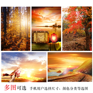 秋天景色海报红枫树林森林画落叶阳光小溪自然风光山水风景装饰画