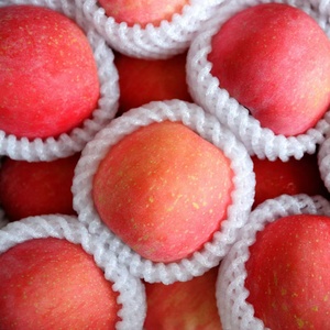 【有机苹果】烟台苹果正宗栖霞红富士苹果纯天然农产品精品条纹果