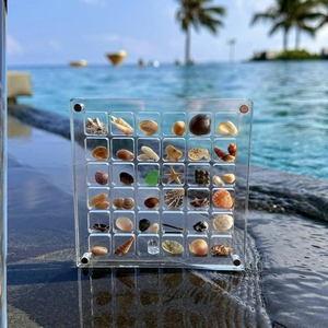 贝壳收纳盒亚克力正方形透明海边微石头标本展示收藏磁力收纳相框