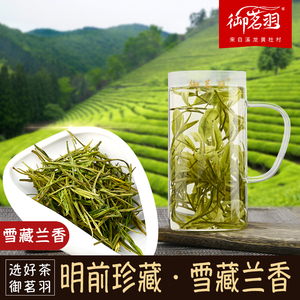 御茗羽白茶安吉正宗特产明前珍藏雪藏兰花香型今年新茶溪龙高山茶