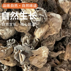 新鲜巴楚菇100g 新疆巴楚野生蘑菇干食用菌香菇胡杨林皱柄羊肚菌