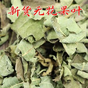 中药材无花果叶子霜打干叶片包邮青皮无花果树叶子茶新鲜干货新货