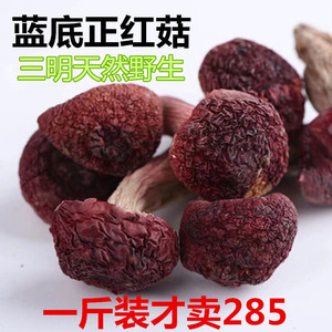 23福建三明新货红菇干货正品野生特级蓝底红香菇红蘑菇菌菇月子菇