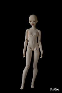 【Maskcat Doll】1/3 BJD 三分女娃 57cm line 第3代身体/素体