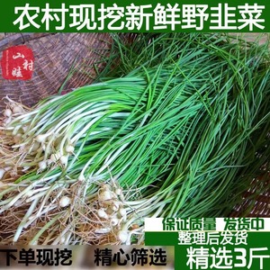 农家现挖野韭菜野葱野蒜小葱根野菜小根蒜胡葱沙葱当季农家菜香葱