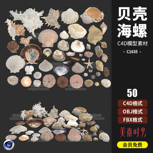 C4D海洋生物贝壳海螺扇贝海星fbx obj模型blender素材含贴图C1635