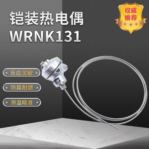 上海铠装热电偶WRNK131电热偶铂电阻K型电炉测温温度传感器上自仪
