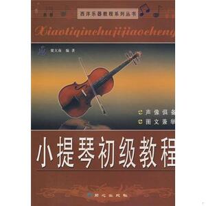 二手书西洋乐器教程系列丛书：小提琴初级教程梁大南北京日报出版