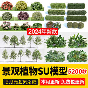 2024园林景观庭院植物花草树木绿篱乔木花卉灌木丛草图大师SU模型