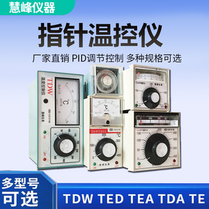 TED-2001/TEA-2001/TDW-2001/TDA-8001TE-01指针温控调节仪表慧峰