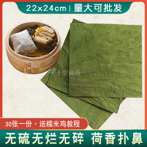 新鲜荷叶糯米鸡专用干整张片切茶泡水蒸饭熬粥莲叶菏叶何叶干荷花