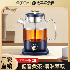 茶皇子煮茶器家用养生壶蒸汽喷淋式煮茶壶小型全自动电茶炉多功能