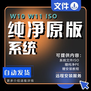 电脑系统win10win11安装纯净原版ISO镜像下载专业版重装远程装机