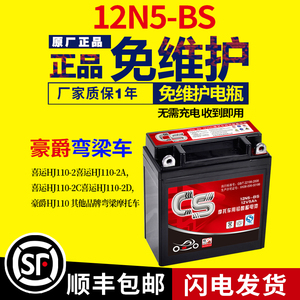 适用豪爵弯梁110摩托车电瓶雅马哈天剑125专用电池12v5ah干蓄电池