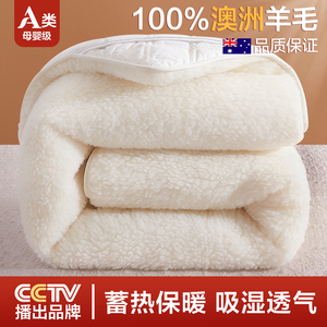 澳洲羊毛床垫软垫保暖加厚铺床冬季冬天毛羊羔绒毯床褥垫被褥子S