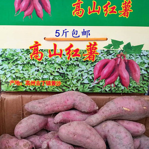 新鲜红薯高山红薯正宗高州古丁黄沙番薯 仙人洞番薯红薯紫薯红薯
