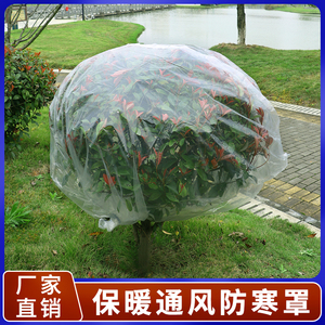加厚塑料薄膜袋花卉绿植盆栽过冬防冻保温膜袋植物冬季果树防寒罩